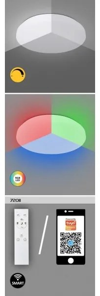 Rabalux 71035 - LED RGB Stmievateľné stropné svietidlo CERRIGEN LED/24W/230V