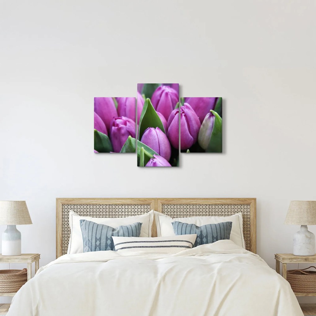Obraz - kvety tulipánov (90x60 cm)