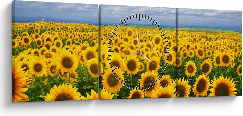 Obraz slnečnicového poľa (s hodinami) (90x30 cm)