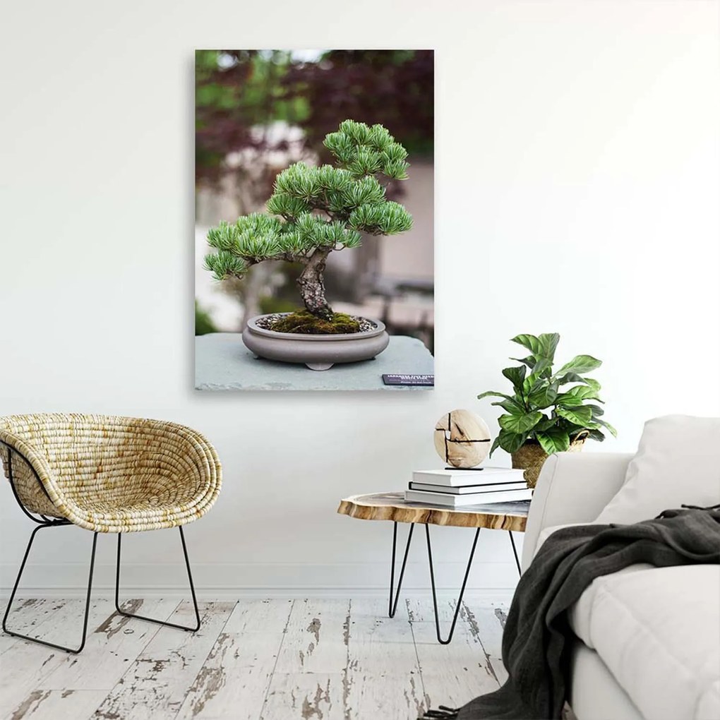 Gario Obraz na plátne Bonsai strom na kameňoch Rozmery: 40 x 60 cm