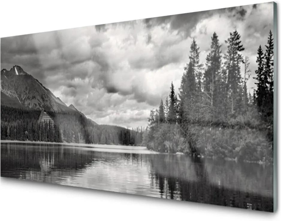 Skleněný obraz Hora Les Jazero Príroda