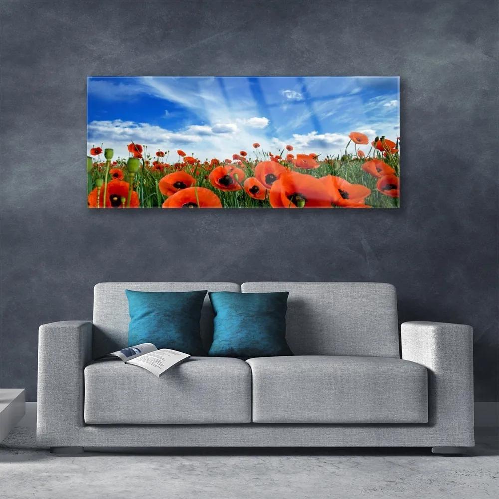Obraz plexi Lúka maky kvety 125x50 cm