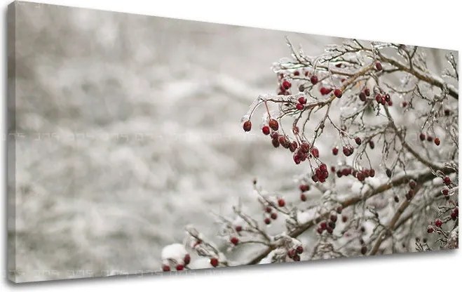 Obraz na stenu PANORÁMA STROMY ST007E13