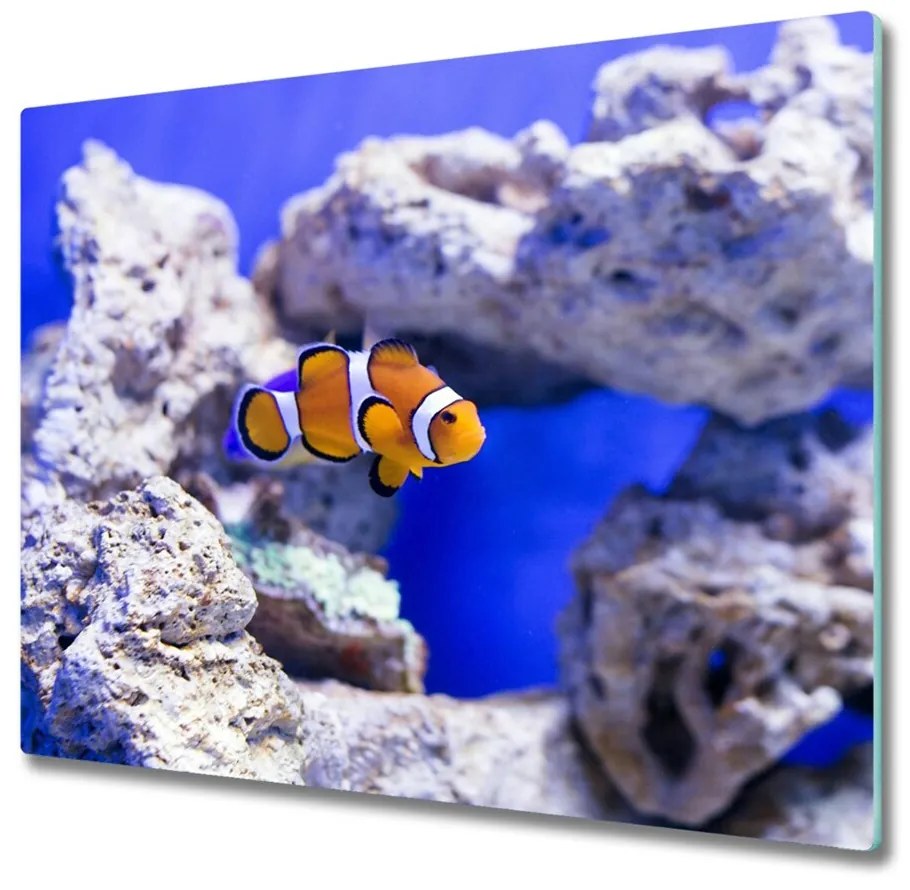 Sklenená doska na krájanie Nemo koralový útes 60x52 cm