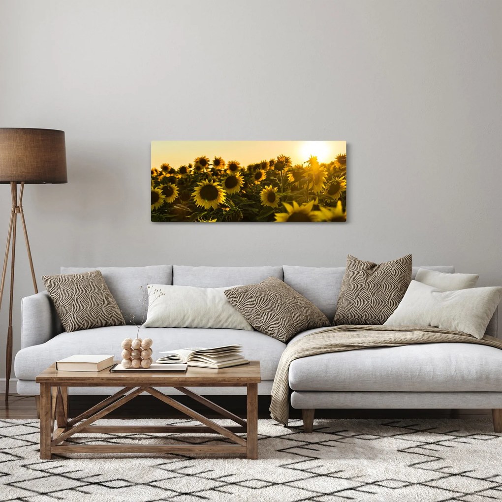 Obraz slnečnicového poľa (120x50 cm)