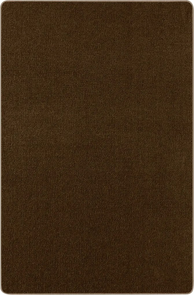 Hanse Home, AKCIA: 200x300 cm Kusový koberec Nasty 101154 Braun, hnedá, chodba / predsieň