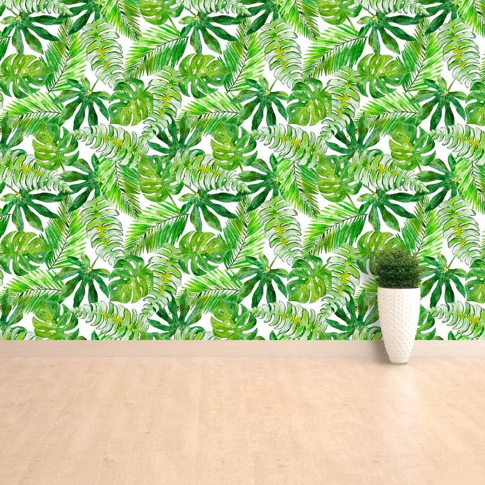 Fototapeta Vliesová Monstera palma 416x254 cm