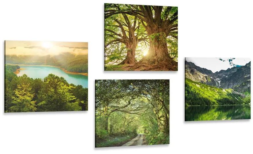 Set obrazov nádherná zelená príroda Varianta: 4x 60x60