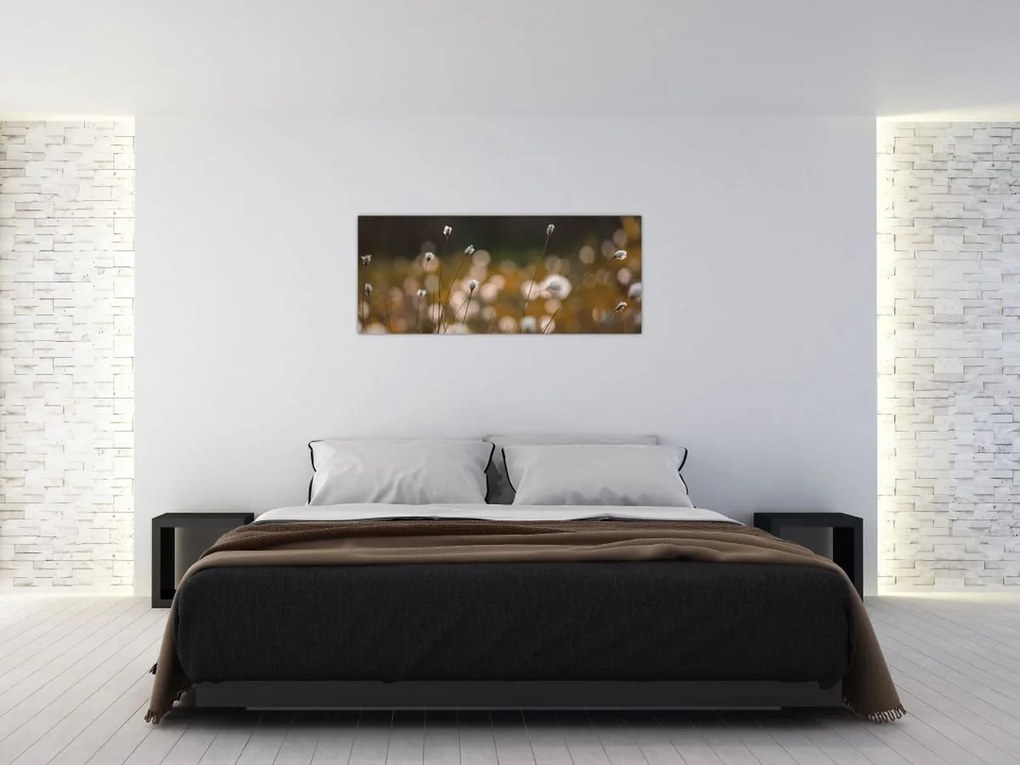 Obraz - Lúka s cottongrass N⁰2 (120x50 cm)