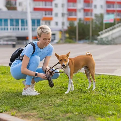 Sada vreciek 50 ks na psie exkrementy+ puzdro Purlov 22812