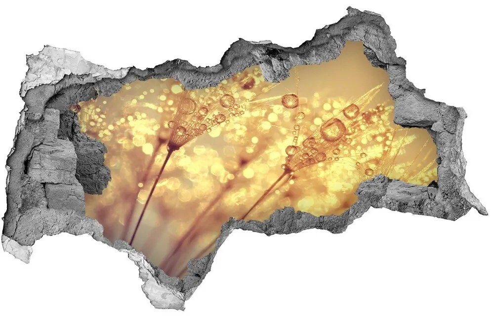 Nálepka 3D diera na stenu Púpava semená nd-b-93546051