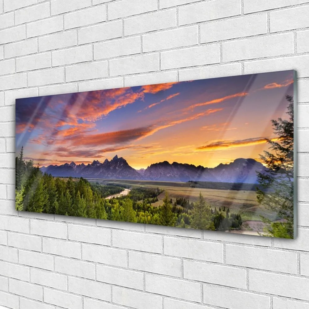 Obraz plexi Hora les slnko príroda 125x50 cm