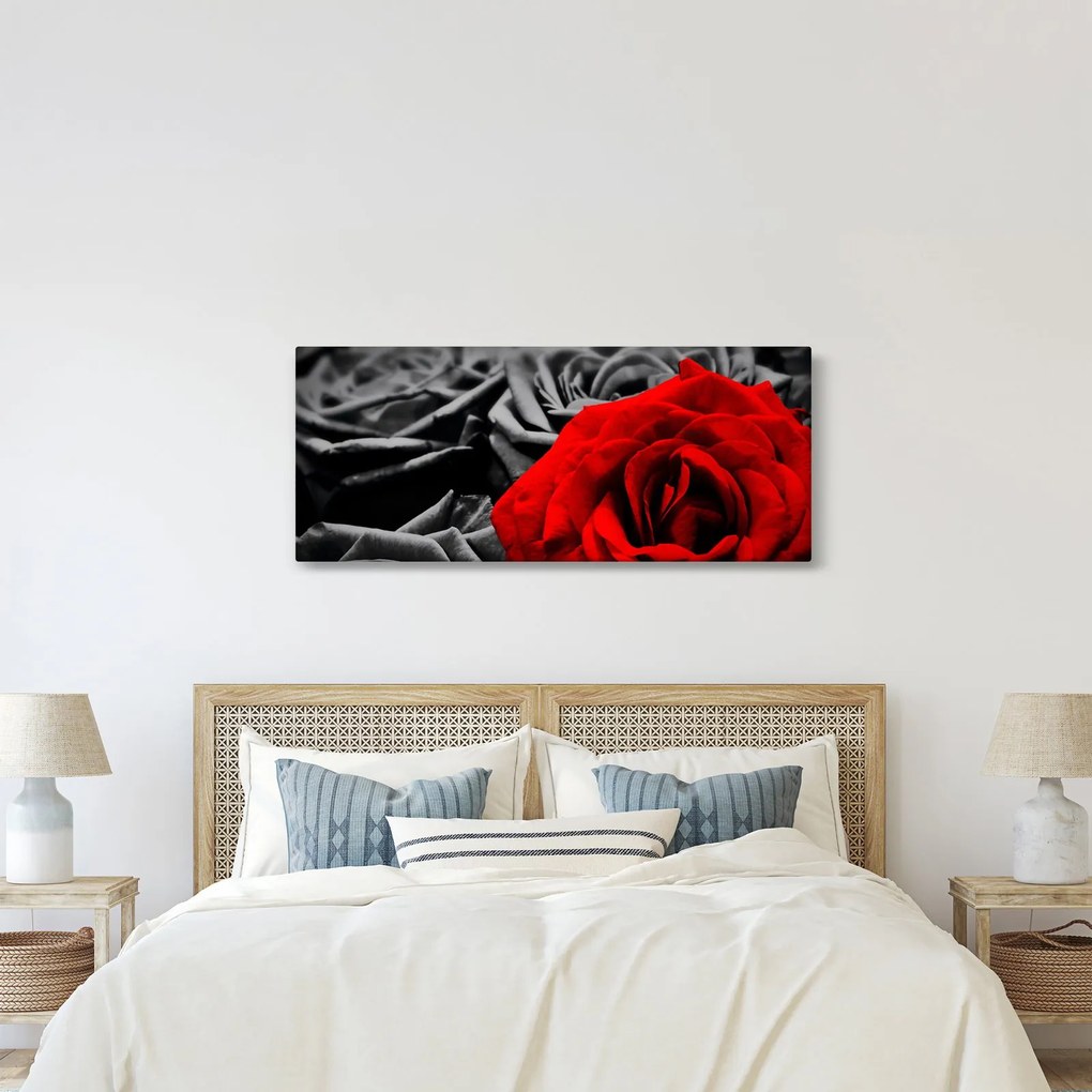 Obraz - Kvety ruží (120x50 cm)