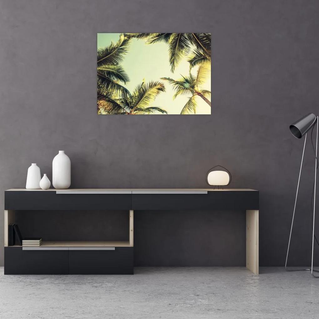 Sklenený obraz s kokosovými palmami (70x50 cm)