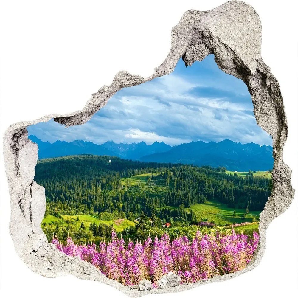 Diera 3D fototapety nálepka Lavender v horách nd-p-71828150