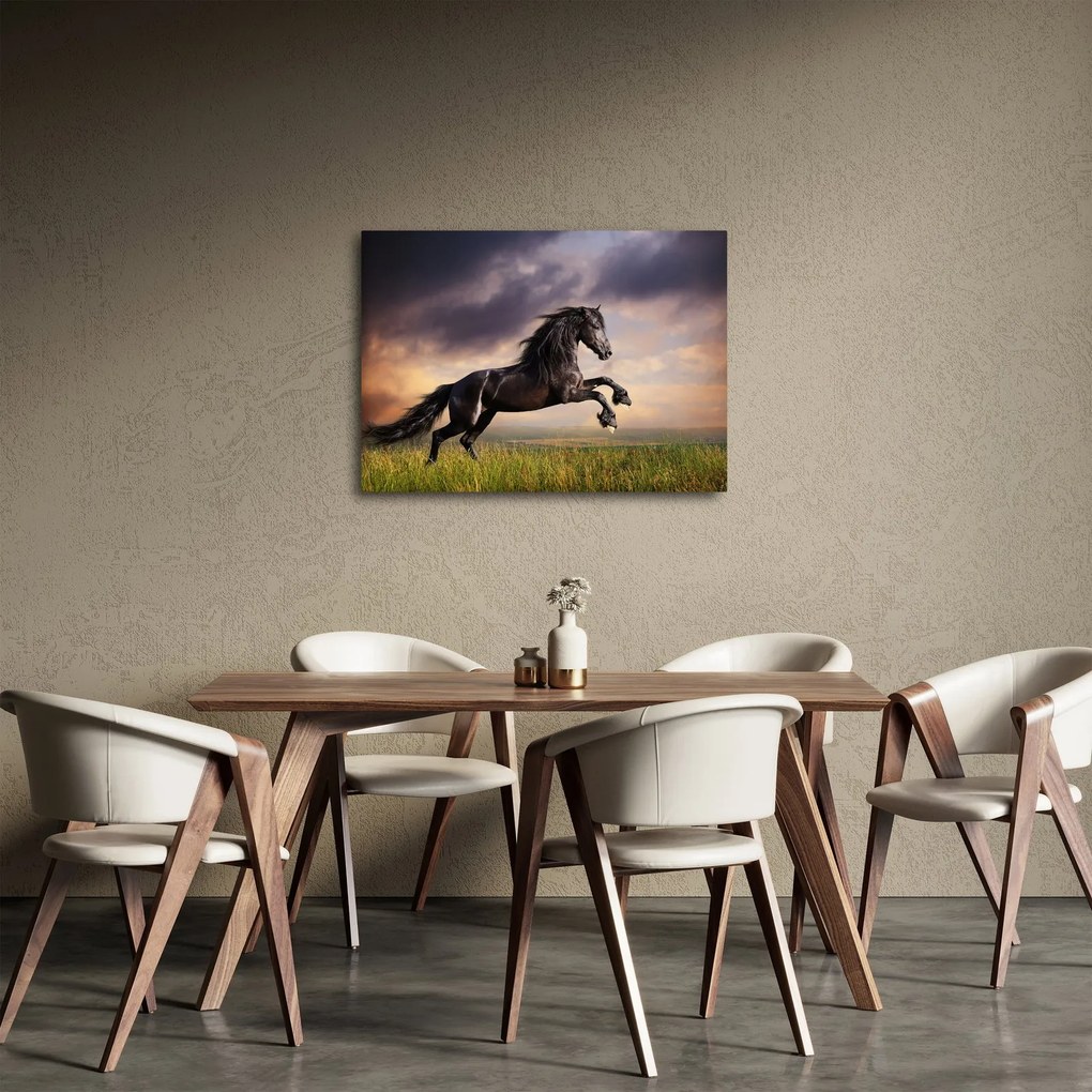Obraz - Kone (70x50 cm)