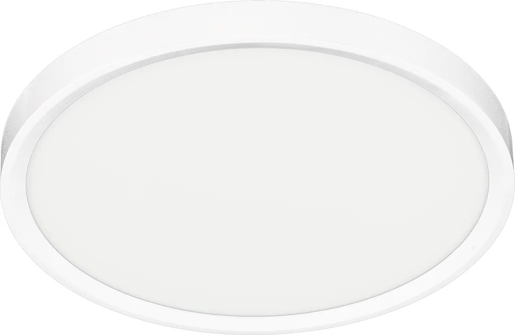 Stropné LED svietidlo Maq, 1x LED 24w, 3000-6500k, w
