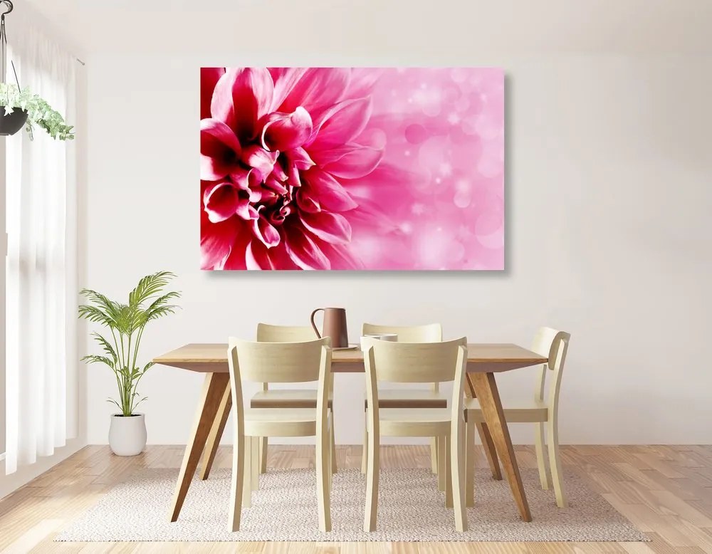 Obraz ružový lotosový kvet