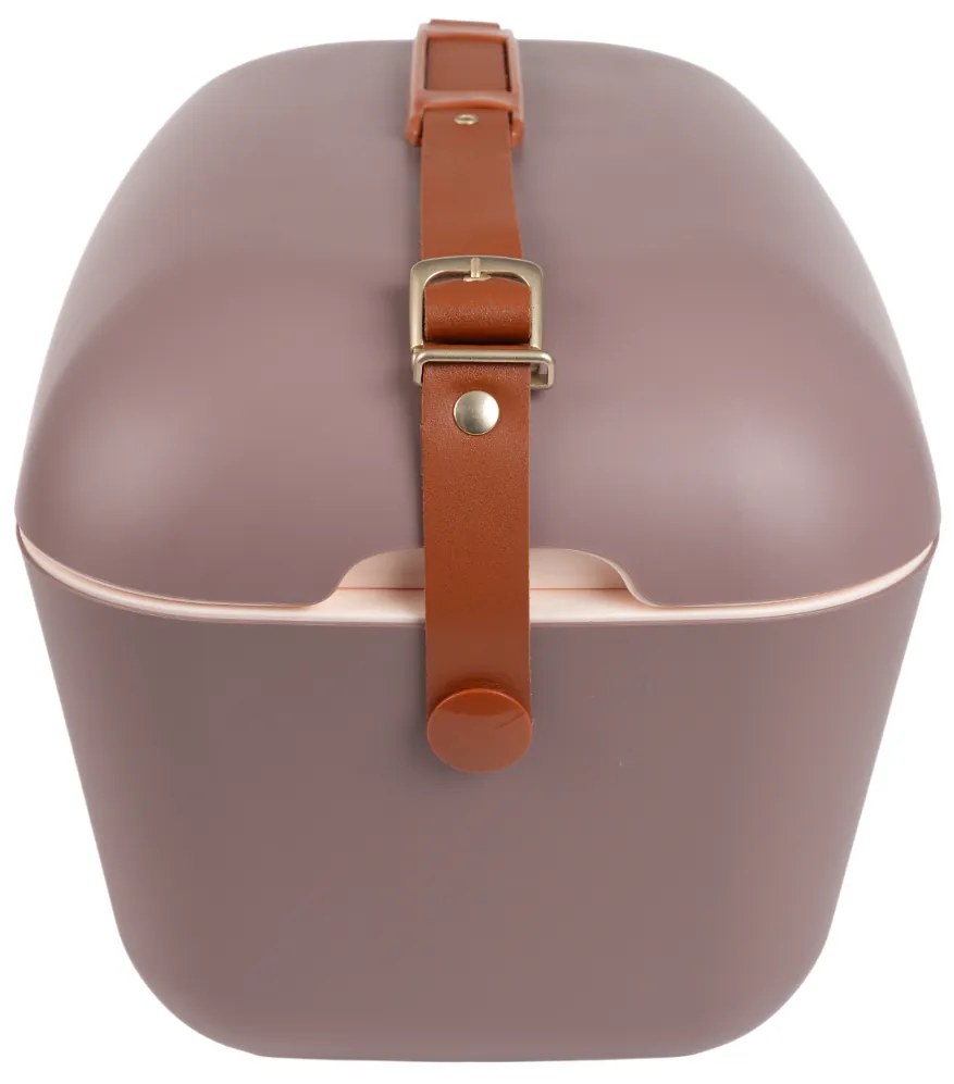 Polarbox Chladiaca taška Classic Gold 12 l, hnedá, 12 l