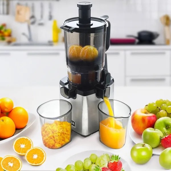 TESLA Electronics SlowJuicer Deluxe - Šnekový odšťavňovač 250W/230V nerez