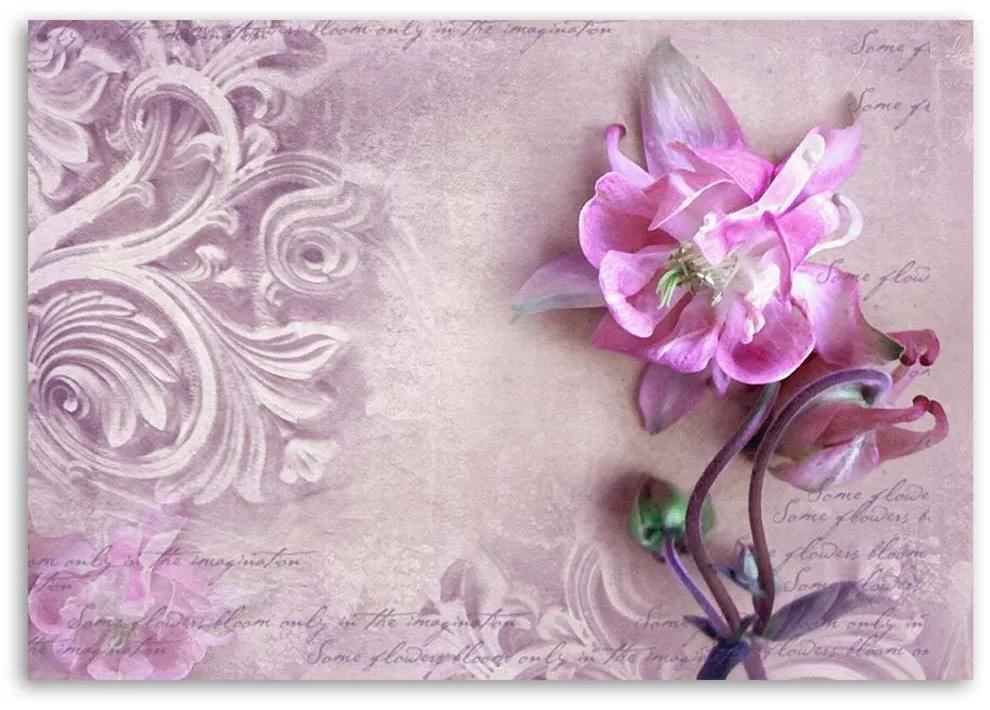 Obraz na plátně Růžový květ Vintage - 120x80 cm