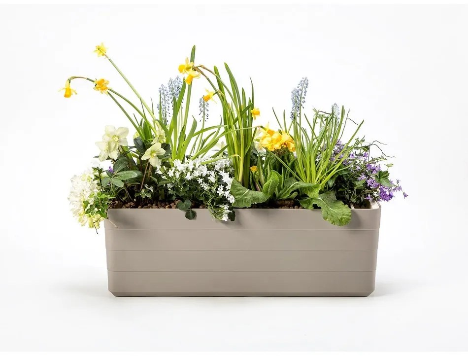 Plastia Samozavlažovací truhlík Berberis 80, sivá + sl. kosť, 80 cm