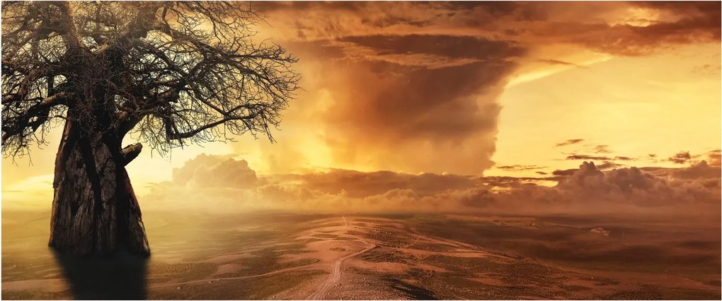 Obraz oranžových mračien (120x50 cm)