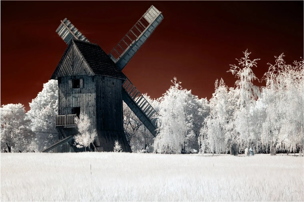 Obraz mlyna (90x60 cm)
