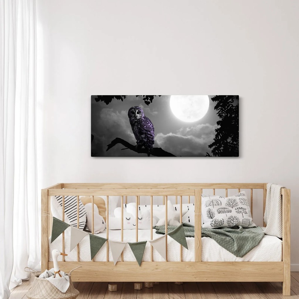 Obraz - Nočná sova, fialová sova (120x50 cm)