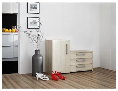 Skrinka na topánky PARIS dub sonoma