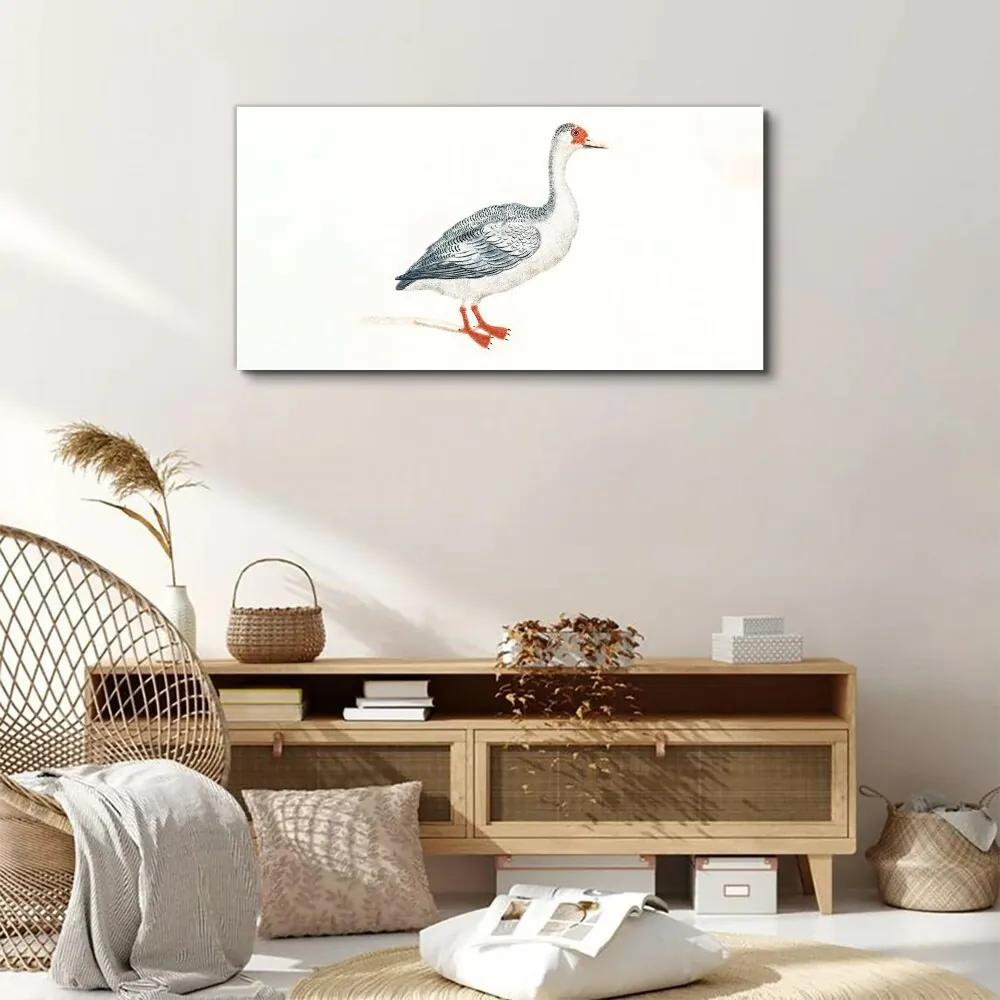 Obraz na plátne Zvieracie vták hus