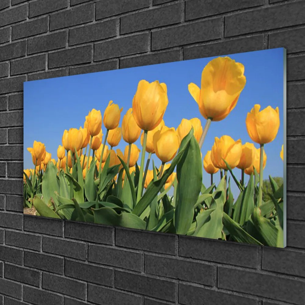 Skleneny obraz Tulipány kvety rastlina 100x50 cm