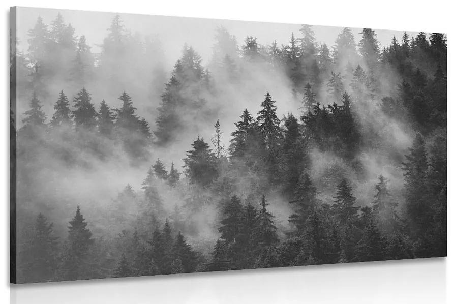 Obraz hory v hmle v čiernobielom prevedení Varianta: 120x80