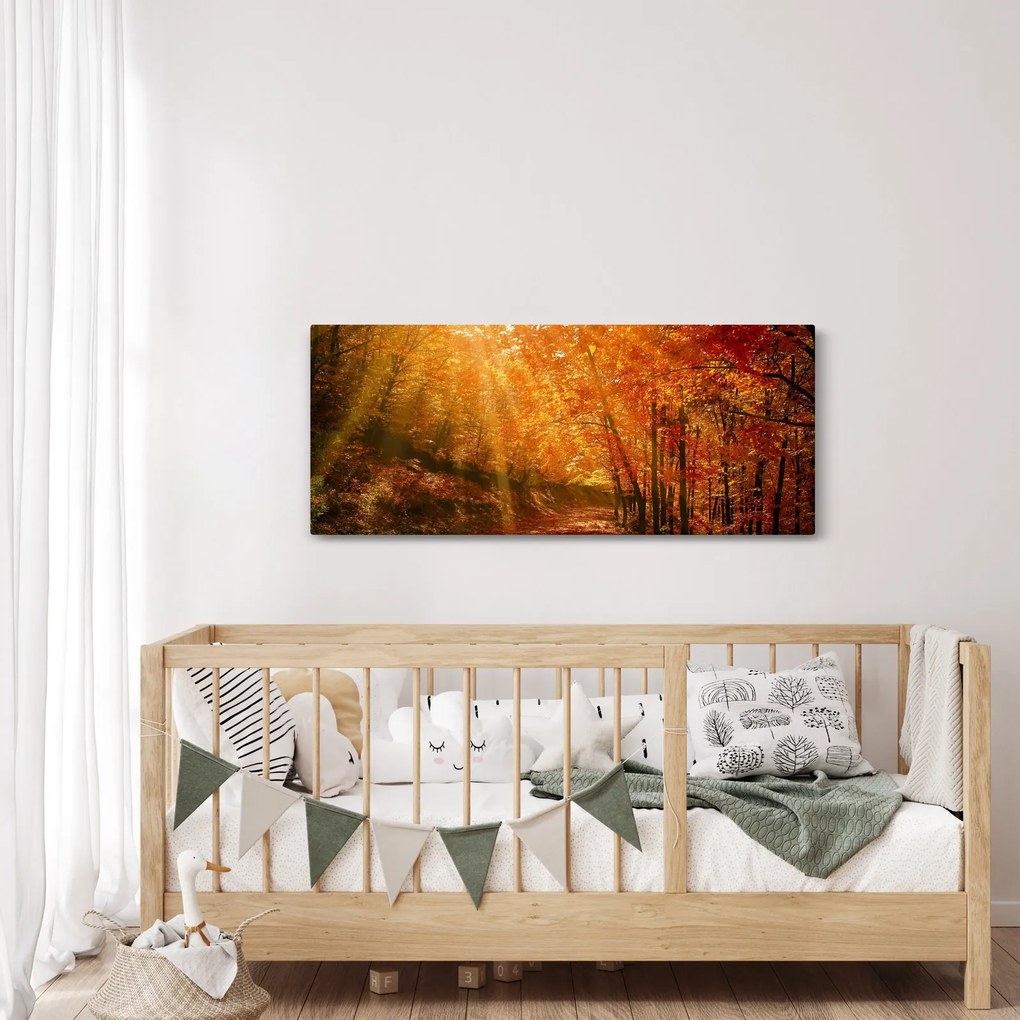 Obraz jesenného lesa (120x50 cm)