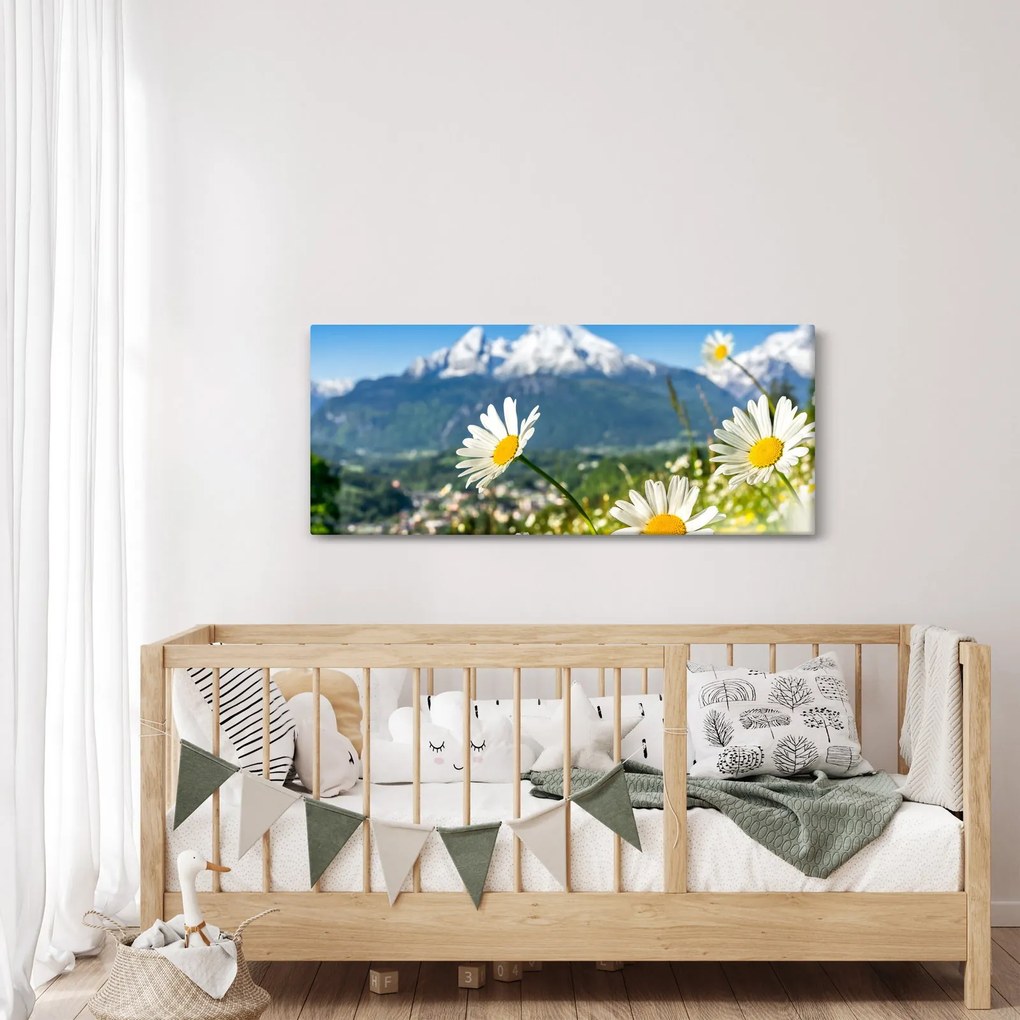 Obraz - Jar v Alpách (120x50 cm)