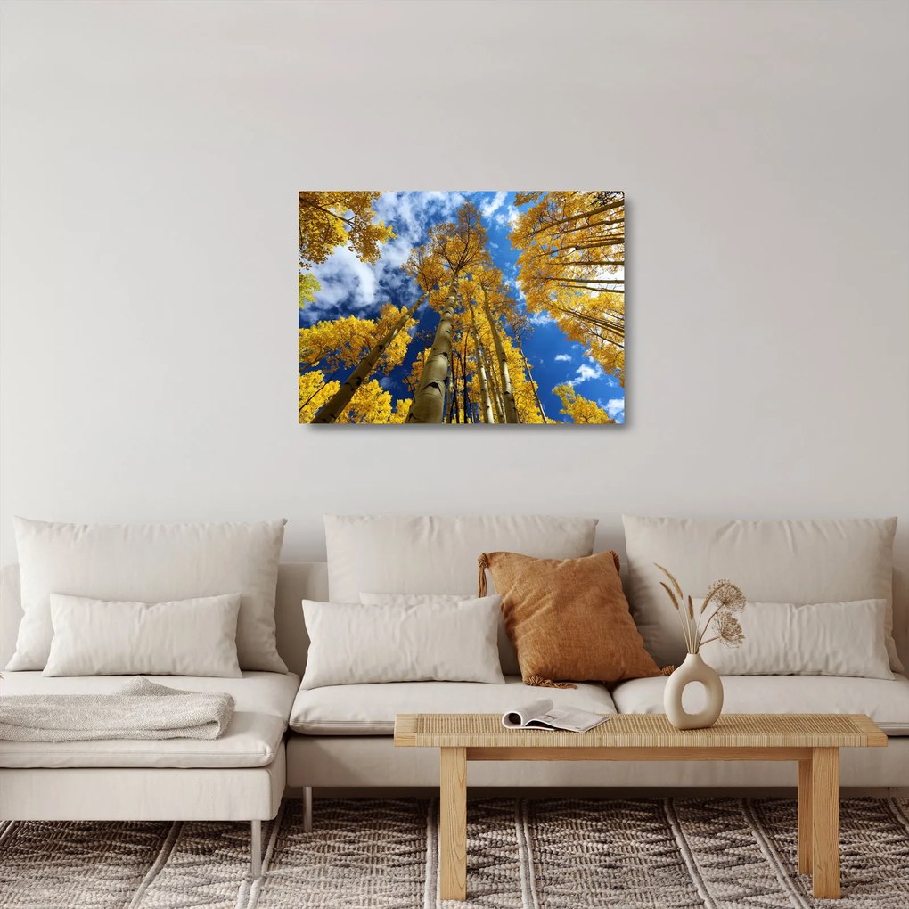 Sklenený obraz - Aspen (70x50 cm)