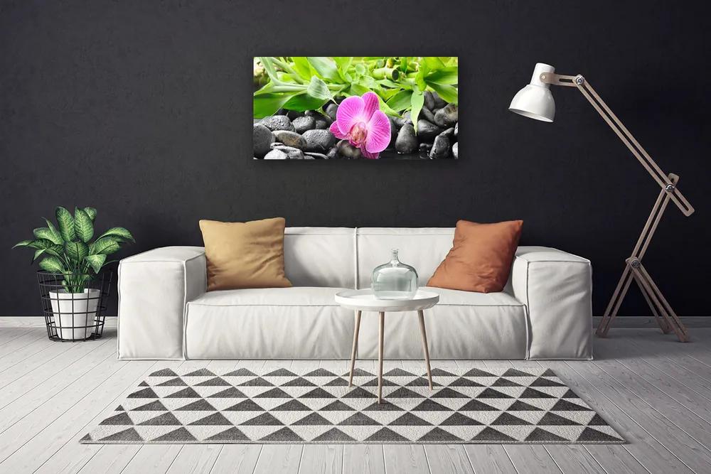 Obraz Canvas Kvety orchidea kamene zen 140x70 cm