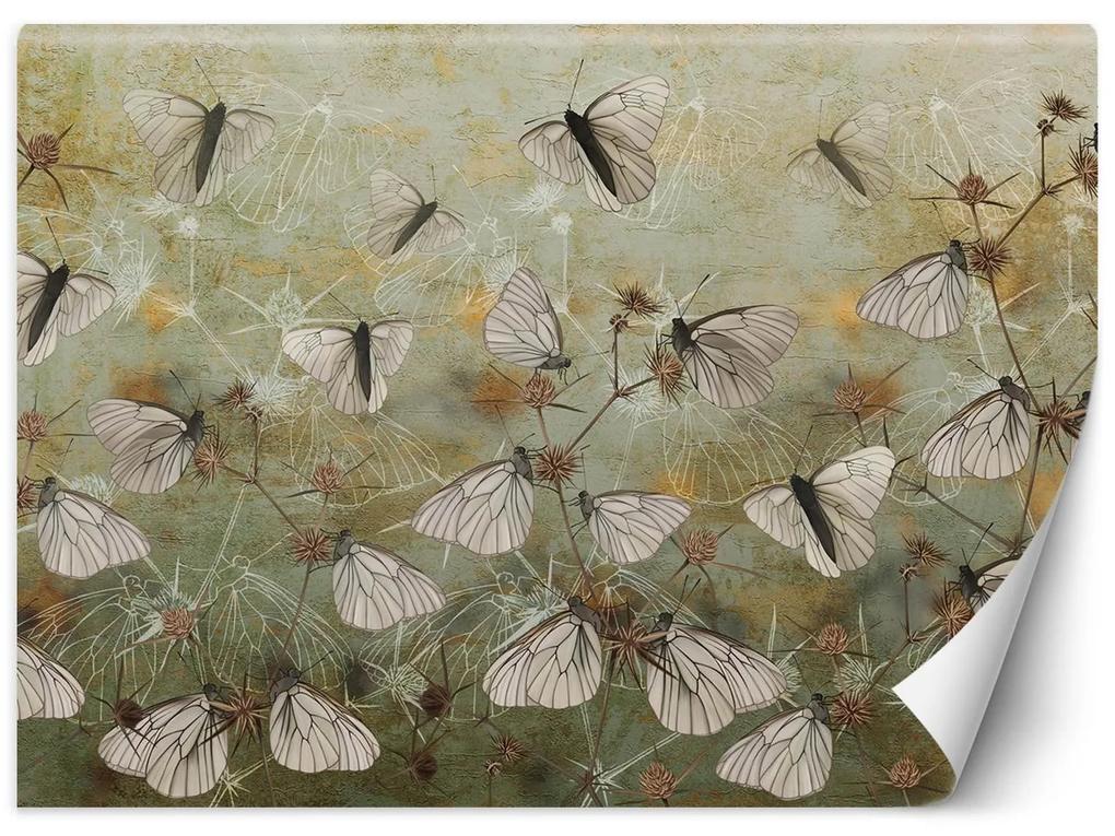 Gario Fototapeta Motýle na pozadí starej steny Materiál: Vliesová, Rozmery: 200 x 140 cm