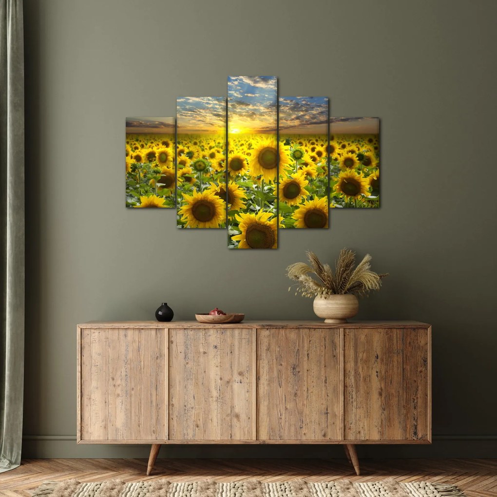 Obraz - Slnečnica pri západe slnka (150x105 cm)