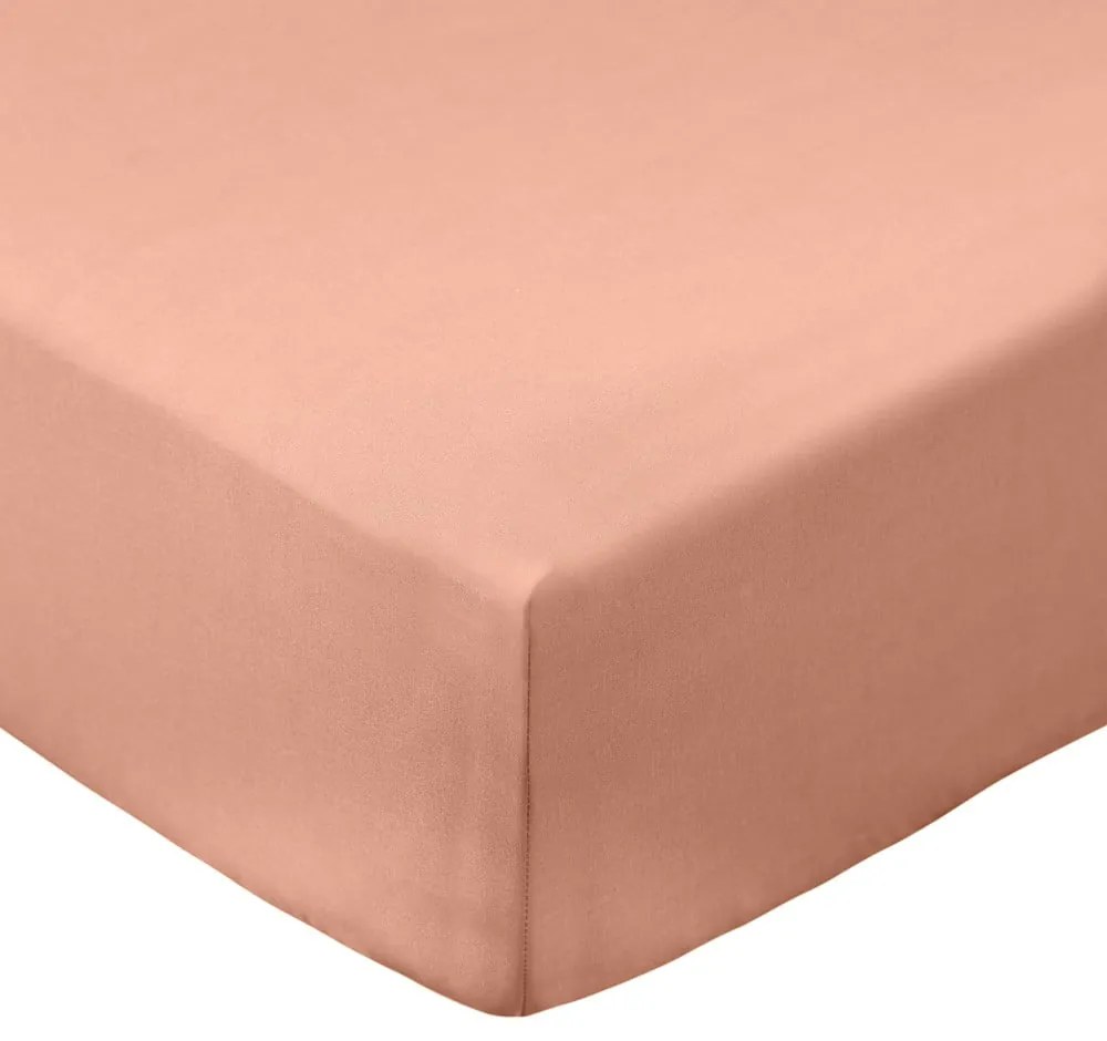 Terakotová napínacia plachta z bavlneného perkálu 90x190 cm Cotton Percale – Bianca