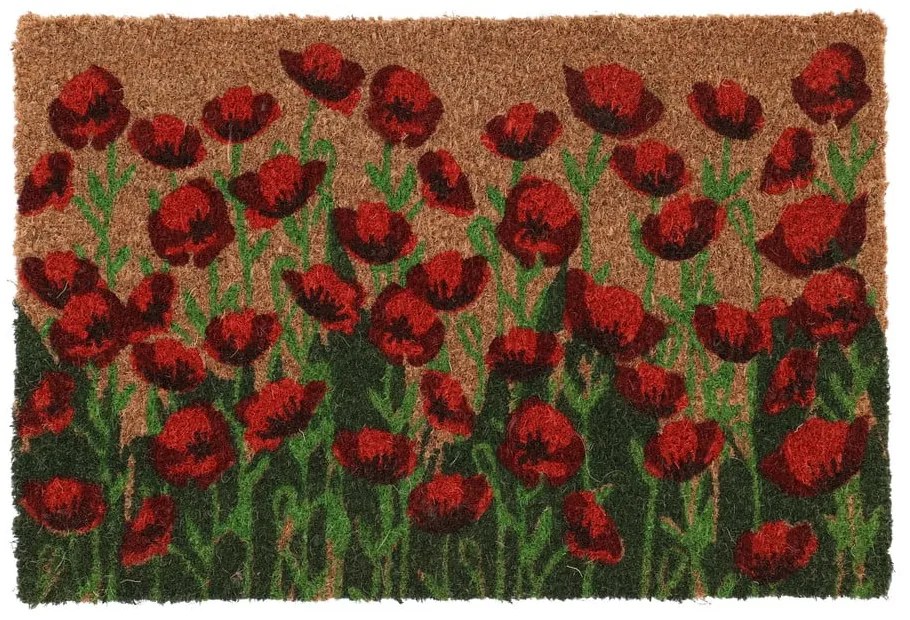 Rohožka z kokosového vlákna 40x60 cm - Esschert Design