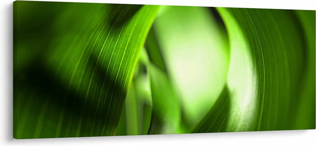 Obraz - Steblo trávy (120x50 cm)