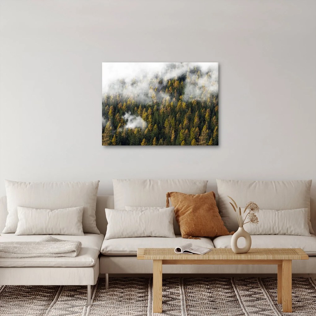 Obraz lesa v mrakoch (70x50 cm)