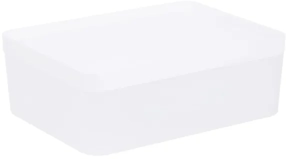 Úložný box GIZMO biely 883410