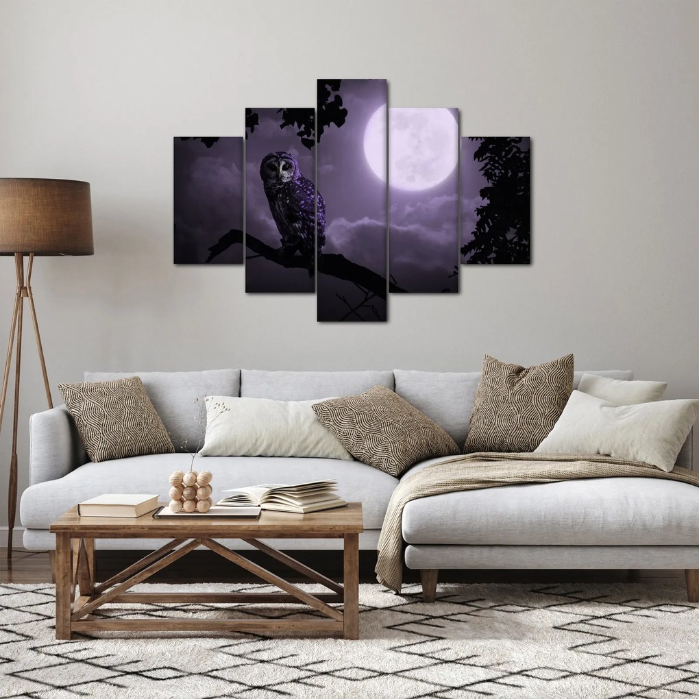 Obraz - Nočná sova, fialová (150x105 cm)