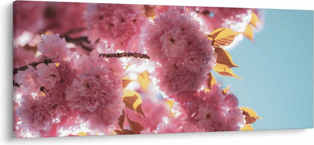 Obraz - Čerešňový kvet (120x50 cm)