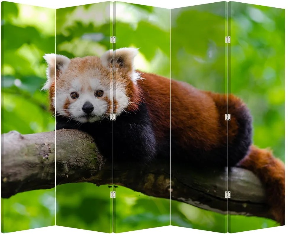 Paraván - Panda červená (210x170 cm)