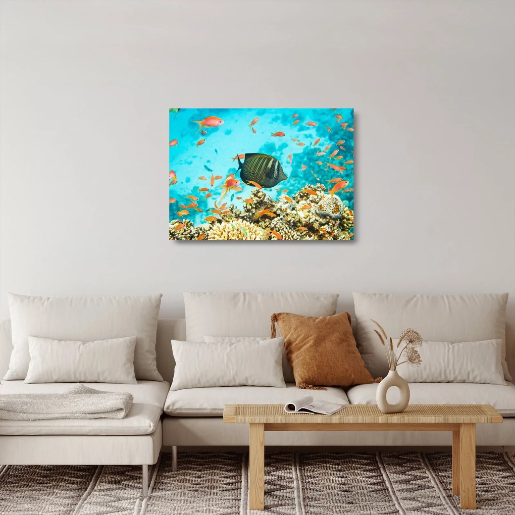 Sklenený obraz podmorského sveta (70x50 cm)