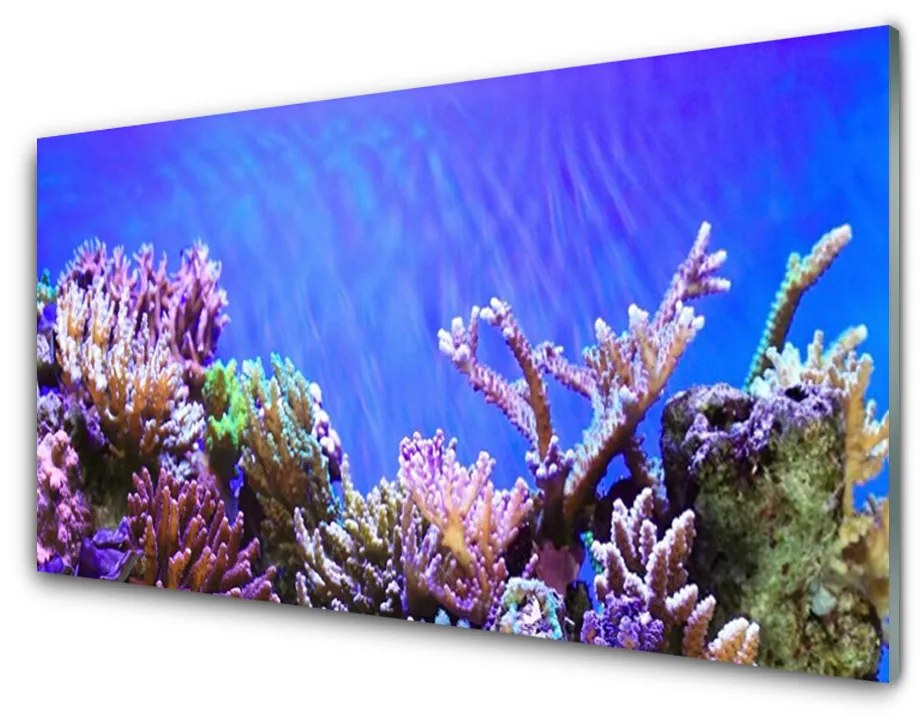 Sklenený obklad Do kuchyne Koralový útes príroda 100x50 cm