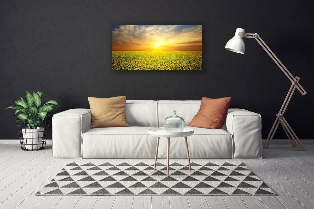 Obraz Canvas Slnko lúka slnečnica 140x70 cm